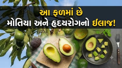 હૃદય, વજન અને આંખો માટે વરદાન સમાન છે 'એવોકાડો'