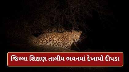જૂનાગઢ જિલ્લા શિક્ષણ તાલીમ ભવનમાં દીપડાના આંટાફેરા