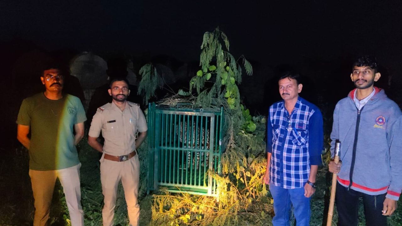 જૂનાગઢના ઉપરકોટ કિલ્લામાંથી દીપડો પાંજરે પુરાયો
