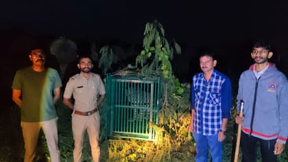 જૂનાગઢના ઉપરકોટ કિલ્લામાંથી દીપડો પાંજરે પુરાયો