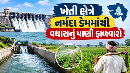 ખરીફ પાક માટે નર્મદામાંથી વધારાનું પાણી, સરકારે લીધા 3 મોટા નિર્ણય