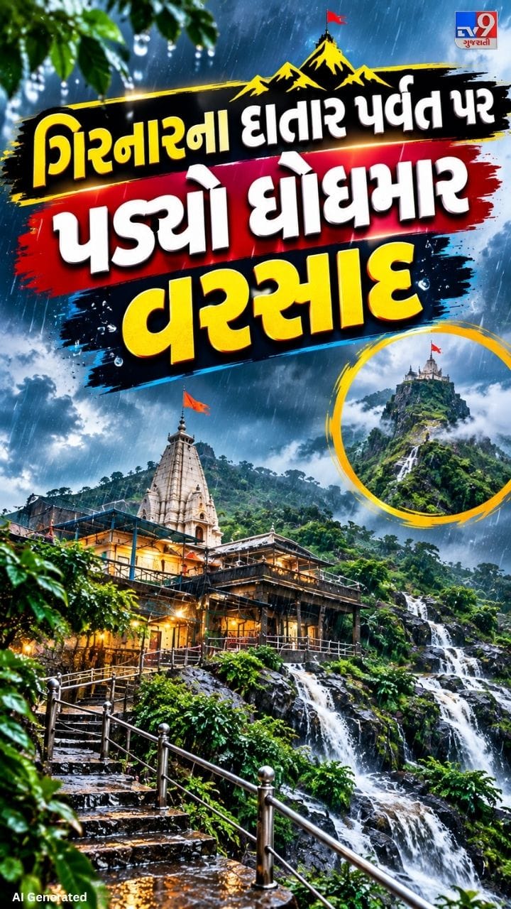 જંગલ વિસ્તારમાં વરસાદથી કુદરતી સૌંદર્ય ખીલ્યું