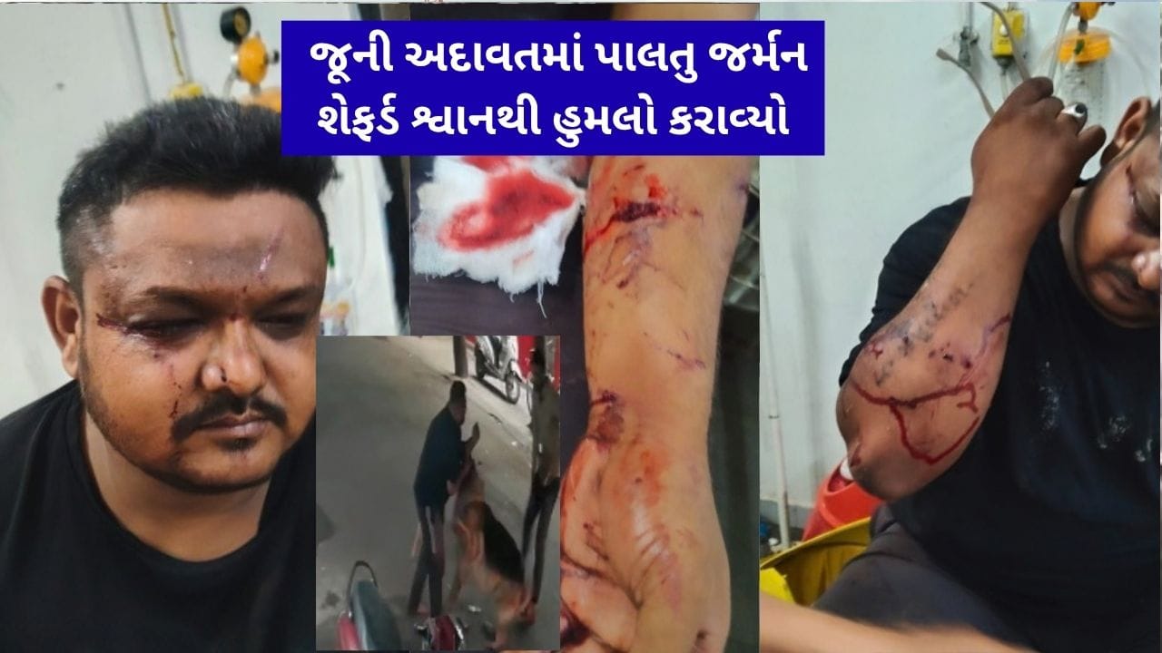 Breaking News : રાજકોટમાં જૂની અદાવતમાં પાલતુ જર્મન શેફર્ડ શ્વાનથી હુમલો કરાવ્યો, યુવાન ગંભીર ઇજાગ્રસ્ત