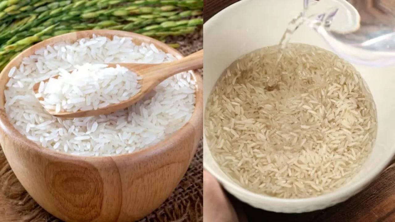 કેવા પ્રકારની ભેળસેળ હોઈ શકે છે? : કાંકરા અથવા નાના પથ્થરોની ભેળસેળ, માટી અથવા ધૂળની ભેળસેળ, ફોતરાં અથવા સૂકા ઘાસના ટુકડાઓની ભેળસેળ, અન્ય છોડના બીજની ભેળસેળ, તૂટેલા અથવા ક્ષતિગ્રસ્ત દાણાની ભેળસેળ અને જીવજંતુઓ દ્વારા નુકસાન પામેલા દાણાની ભેળસેળ હોઈ શકે છે. 