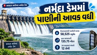 ગુજરાત માટે સારા સમાચાર નર્મદા ડેમમાં પાણીની આવક વધી, 24 કલાકમાં જળસપાટીમાં 12 સેમીનો વધારો