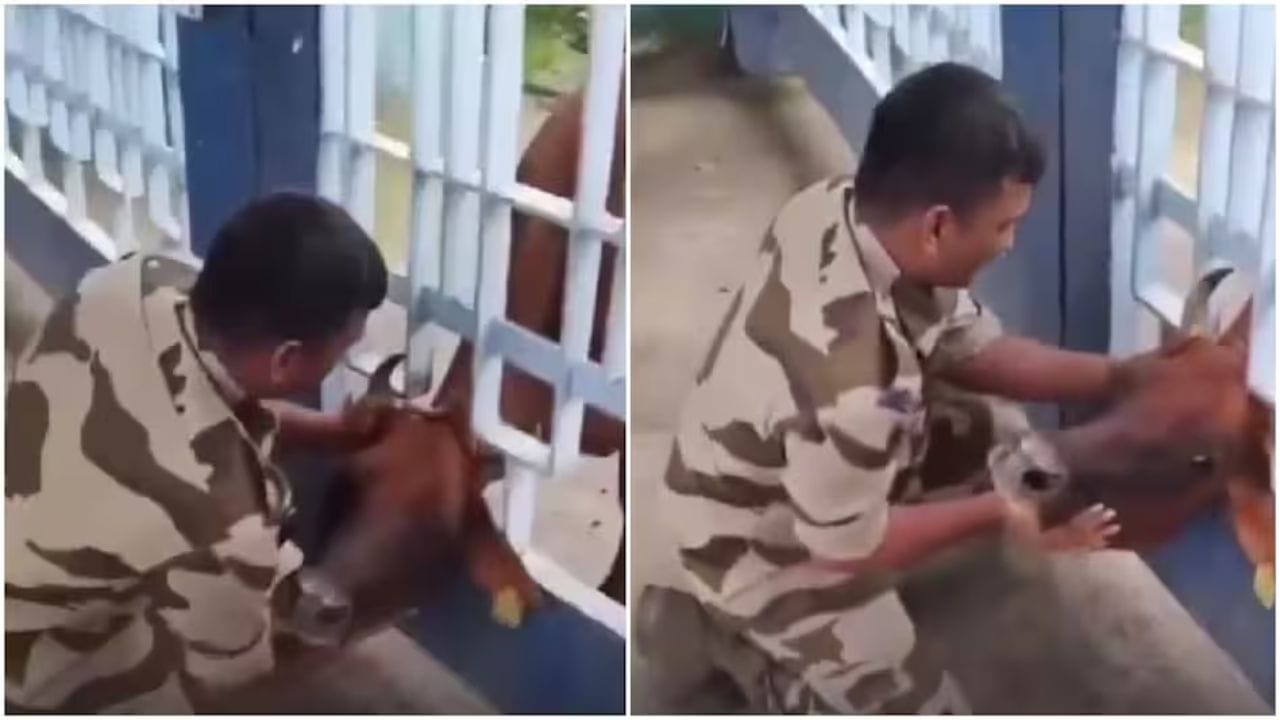 Trending Video : ગેટમાં ફસાયું ગાયનું માથું, CISF જવાને આ રીતે બચાવ્યો જીવ, વીડિયો થયો વાયરલ