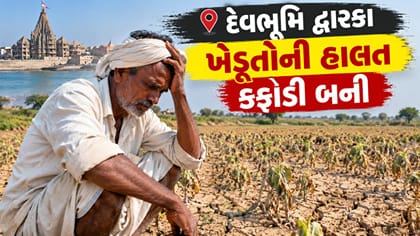 ઓછા વરસાદને કારણે માલધારીઓની મુશ્કેલી વધી