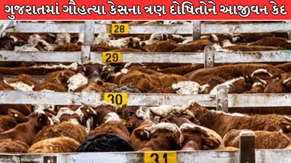 ગુજરાતમાં ગૌહત્યા કેસના ત્રણ દોષિતોને આજીવન કેદ