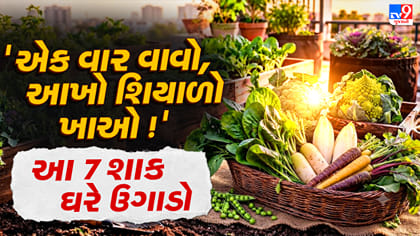 ઓક્ટોબરમાં ઘરે જ ઉગાડો આ 7 શાકભાજી, આખા શિયાળા મળશે તાજું શાક
