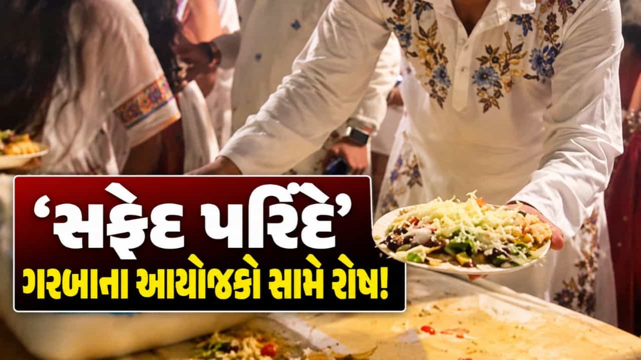 Breaking News : ‘સફેદ પરિંદે’ ગરબા આયોજકો સામે ખેલૈયાઓનો રોષ, મોંઘાદાટ પાસ છતાં સુવિધાઓ નહીં હોવાના આક્ષેપ, જુઓ Video