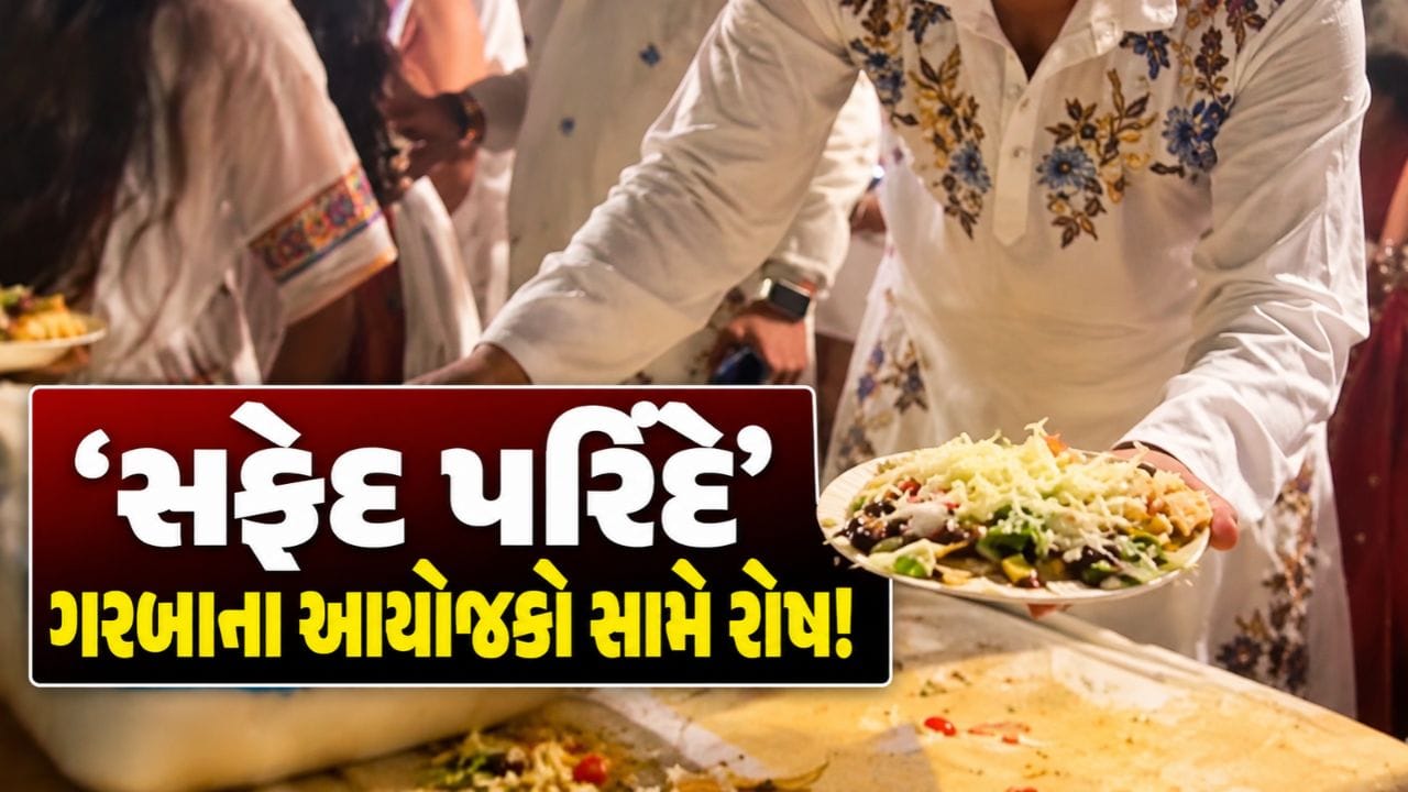 Breaking News : ‘સફેદ પરિંદે’ ગરબા આયોજકો સામે ખેલૈયાઓનો રોષ, મોંઘાદાટ પાસ છતાં સુવિધાઓ નહીં હોવાના આક્ષેપ, જુઓ Video Breaking News : ‘સફેદ પરિંદે’ ગરબા આયોજકો સામે ખેલૈયાઓનો રોષ, મોંઘાદાટ પાસ છતાં સુવિધાઓ નહીં હોવાના આક્ષેપ, જુઓ Video
