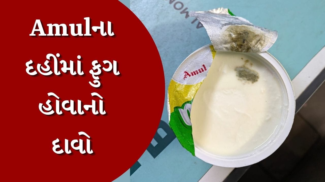 Breaking News: રાજકોટમાં ગ્રાહકે Amulના દહીંમાંથી ફૂગ નીકળી હોવાનો કર્યો દાવો, જુઓ Video Breaking News: રાજકોટમાં ગ્રાહકે Amulના દહીંમાંથી ફૂગ નીકળી હોવાનો કર્યો દાવો, જુઓ Video