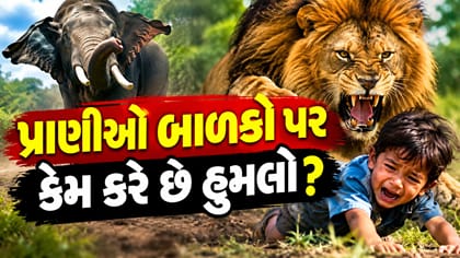 જંગલી પ્રાણીઓ બાળકો પર જ કેમ કરે છે વધારે હુમલો?