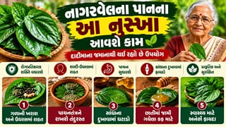 દાદીમાના નુસ્ખા: બદલાતી ઋતુમાં શરદી-ઉધરસથી લઈને સાંધાના દુખાવામાં રાહત આપશે નાગરવેલના પાન