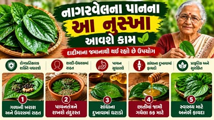 બદલાતા વાતાવરણમાં નાગરવેલના પાનના આ 5 ઘરેલુ નુસ્ખા આપશે રાહત