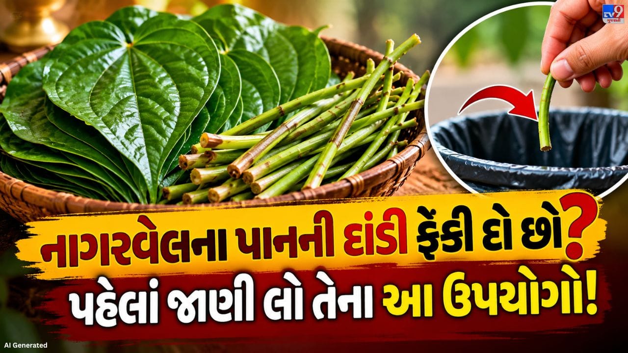નાગરવેલના પાન અને તેની દાંડીનો ઉપયોગ કેટલાક પરંપરાગત ઉપાયોમાં કરવામાં આવે છે. લોકમાન્યતા મુજબ, નાગરવેલની દાંડીને અજમો અથવા વરિયાળી સાથે પાણીમાં ઉકાળીને તૈયાર કરેલું પીણું ગેસ, પેટમાં ભારેપણું અને અપચા જેવી તકલીફો માટે વપરાય છે. જોકે, આ ઉપાયથી દરેક વ્યક્તિને રાહત મળે અથવા તેનાથી પાચનની સમસ્યાઓ દૂર થાય એવા પૂરતા વૈજ્ઞાનિક પુરાવા ઉપલબ્ધ નથી. જો પેટની તકલીફ વારંવાર થતી હોય અથવા લાંબા સમય સુધી રહેતી હોય, તો ડૉક્ટરની સલાહ લેવી જોઈએ.
