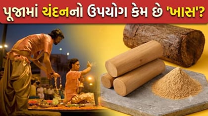 પૂજાથી લઈને માથા પર તિલક સુધી... ચંદનનું મહત્વ અને ફાયદા જાણો