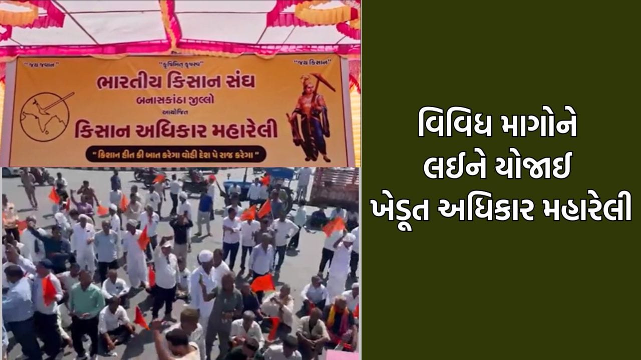 બનાસકાંઠામાં કિસાન સંઘના નેજા હેઠળ યોજાઈ ખેડૂત અધિકાર મહારેલી, SPની મધ્યસ્થી બાદ કલેક્ટરે સ્વીકાર્યુ આવેદન બનાસકાંઠામાં કિસાન સંઘના નેજા હેઠળ યોજાઈ ખેડૂત અધિકાર મહારેલી, SPની મધ્યસ્થી બાદ કલેક્ટરે સ્વીકાર્યુ આવેદન
