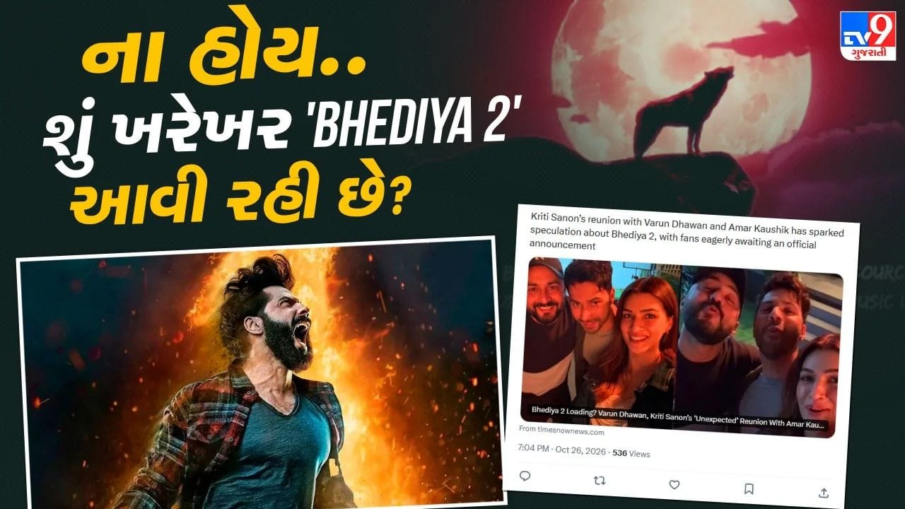ના હોય.. શું ખરેખર 'Bhediya 2' આવી રહી છે ? વરુણ અને કૃતિ સેનનની સરપ્રાઈઝ મુલાકાતથી સસ્પેન્સ વધ્યું