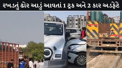 કલોલના બોરીસણા બ્રિજ પર રખડતા ઢોરને કારણે ત્રણ વાહનો વચ્ચે અકસ્માત