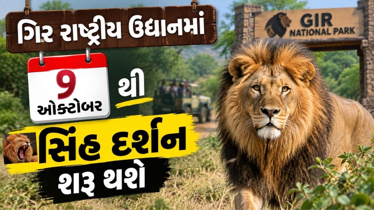 Breaking News : બેગ કરી લેજો પેક, 9  ઓક્ટોબરથી કરી શકશો સિંહ દર્શન, જુઓ વીડિયો