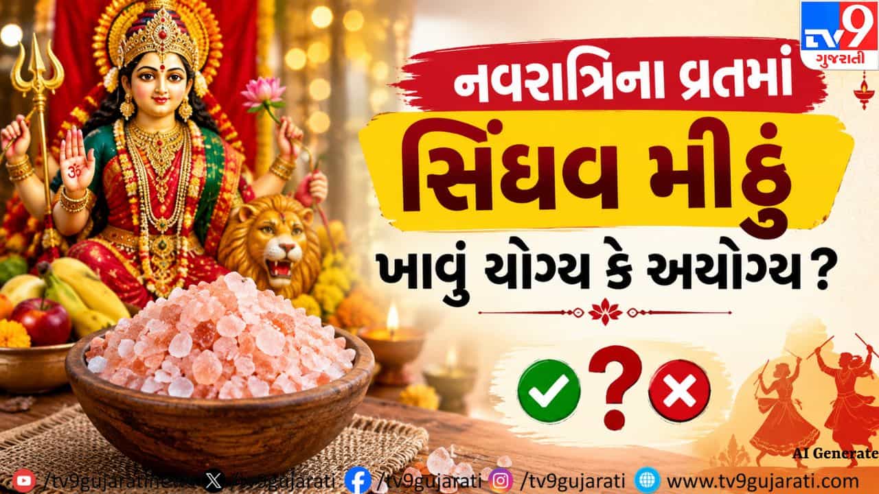Navratri Vrat 2026 : નવરાત્રિના વ્રતમાં સિંધવ મીઠું ખાવું યોગ્ય કે અયોગ્ય? દૂર કરો કન્ફ્યુઝન