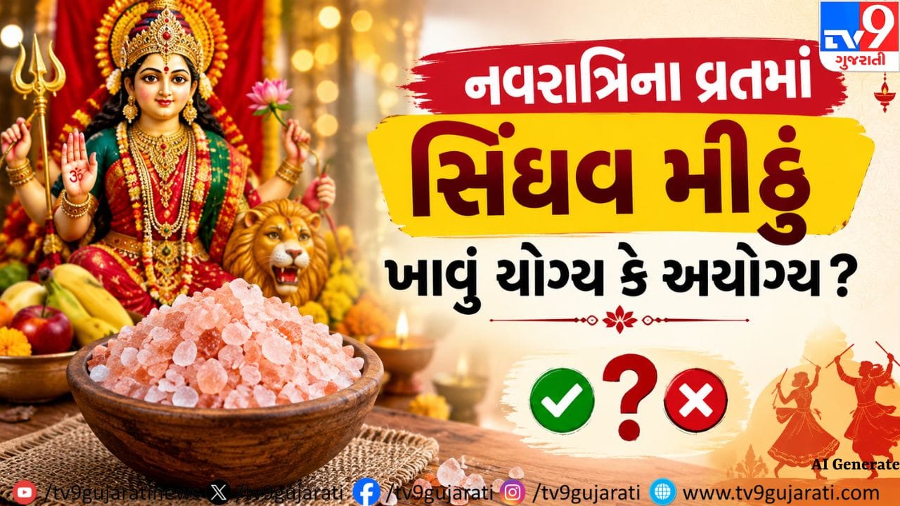 Navratri Vrat 2026 : નવરાત્રિના વ્રતમાં સિંધવ મીઠું ખાવું યોગ્ય કે અયોગ્ય? દૂર કરો કન્ફ્યુઝન