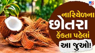 Coconut Peel Reuse Tips: નારિયેળના છોતરા ફેંકતા પહેલાં જાણી લો આ 5 ઉપયોગી રીતો!