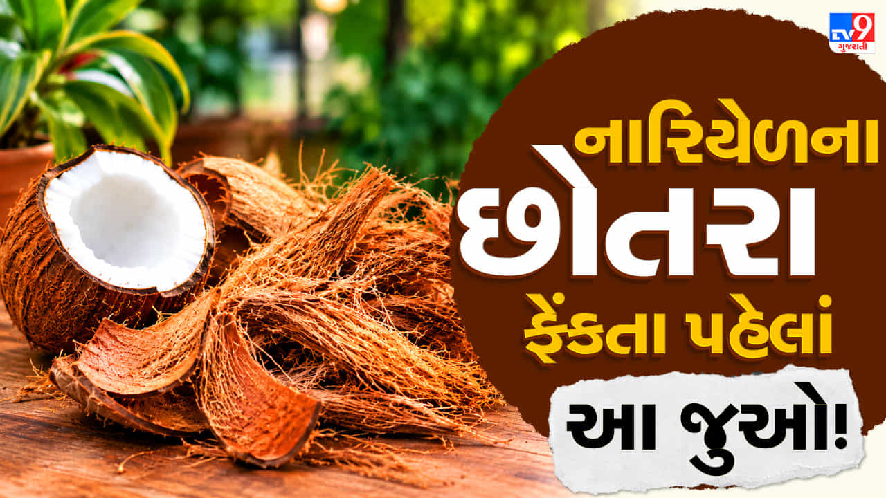 Coconut Peel Reuse Tips: નારિયેળના છોતરા ફેંકતા પહેલાં જાણી લો આ 5 ઉપયોગી રીતો!