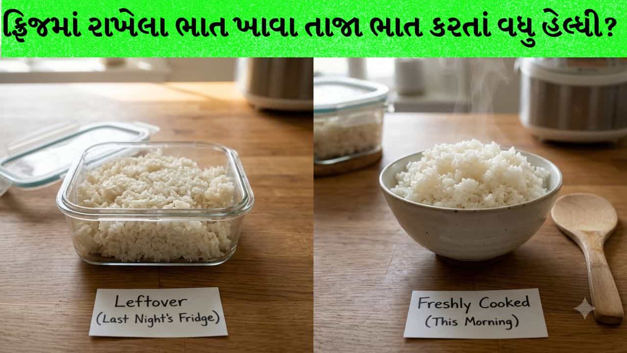 ફ્રિજમાં રાખેલા જૂના ભાત ખાવા સ્વાસ્થ્યપ્રદ, તાજા રાંધેલા ભાત કેમ ન ખાવા જોઈએ? જાણો તેની પાછળનું રસપ્રદ વિજ્ઞાન