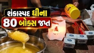 Breaking News : ડીસામાં શંકાસ્પદ ઘીના 80 બોક્સ જપ્ત, ફૂડ વિભાગની મોટી કાર્યવાહી, જુઓ Video