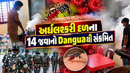 ગાંધીનગરમાં અર્ધલશ્કરી દળના 14 જવાનો ડેન્ગ્યુ સંક્રમિત