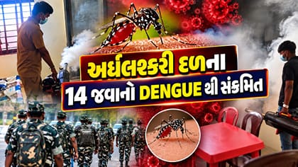 ગાંધીનગરમાં અર્ધલશ્કરી દળના 14 જવાનો ડેન્ગ્યુ સંક્રમિત