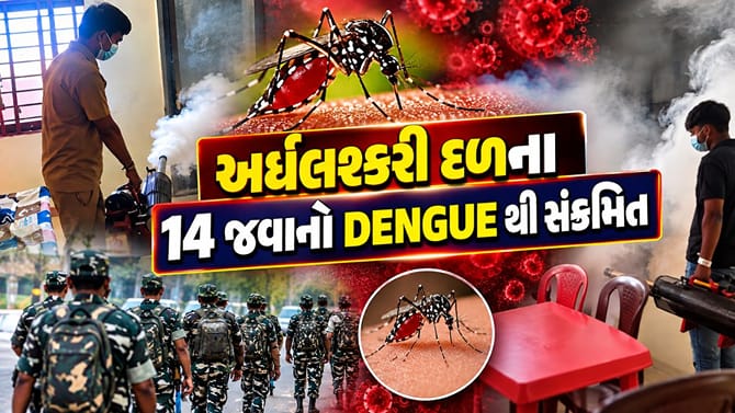 ગાંધીનગરમાં અર્ધલશ્કરી દળના 14 જવાનો ડેન્ગ્યુ સંક્રમિત