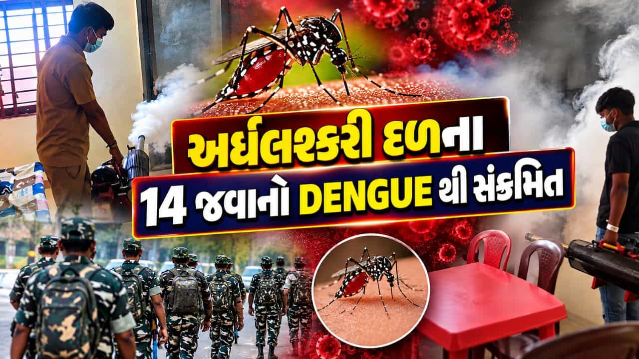 Breaking News : ગાંધીનગરમાં ડેન્ગ્યુનો હાહાકાર, અર્ધલશ્કરી દળના 14 જવાનો સંક્રમિત, જુઓ Video