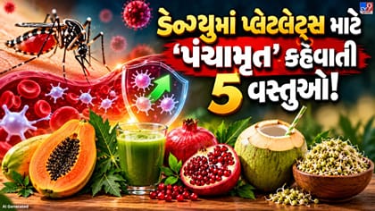 ડેન્ગ્યુમાં પ્લેટલેટ્સ ઘટે ત્યારે શું ખાવું અને શું પીવું? જાણો જરૂરી