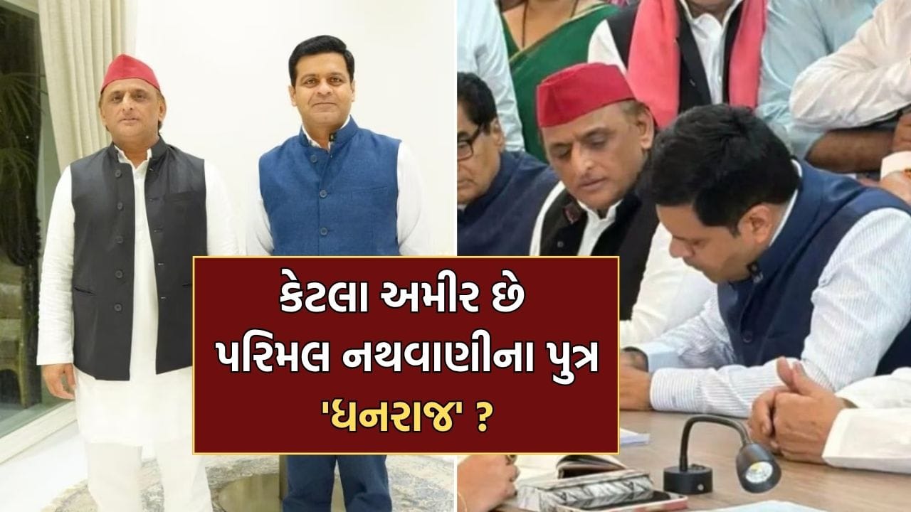 પતિ-પત્ની બંનેની મળીને ₹300 કરોડથી વધુની સંપત્તિ, જાણો કેટલા અમીર છે સપાના ઉમેદવાર ધનરાજ નથવાણી