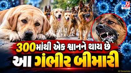 શ્વાનમાં ડાયાબિટીસના લક્ષણો અને સારવાર: પેટ્સ પેરેન્ટ્સ ખાસ વાંચો