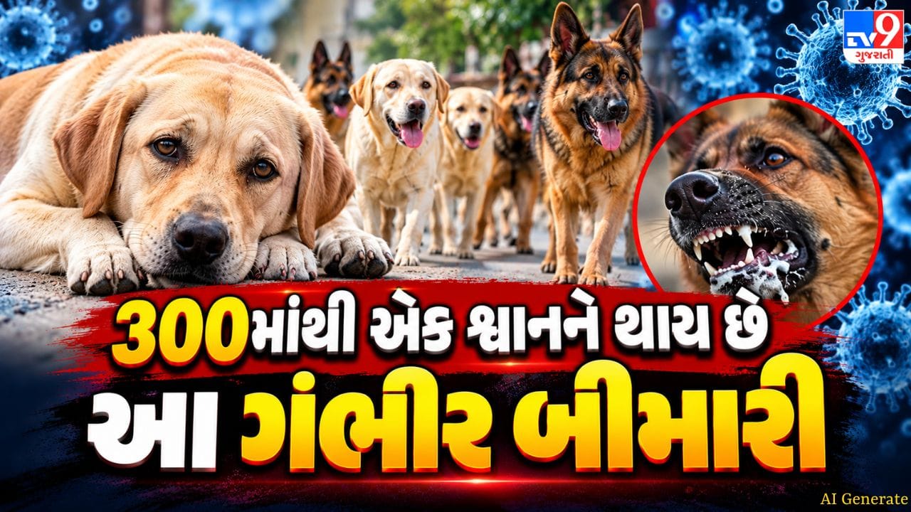 માણસ તો માણસ... શ્વાનને પણ થાય છે ડાયાબિટીસ, જાણો તેના પ્રારંભિક લક્ષણો, કારણો અને સારવારના ઉપાયો