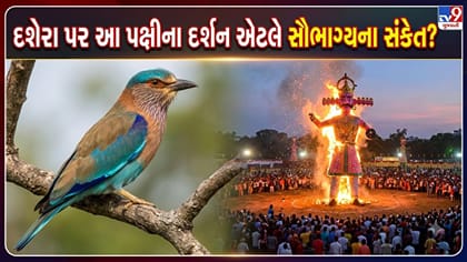 દશેરા પર આ પક્ષીનાં દર્શન શુભ? જાણો શ્રીરામ સાથે જોડાયેલી કથા