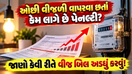 ઘરનું વીજ બિલ અડધું કરવું છે?