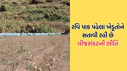ધોરાજીના ખેડૂતોના માથે તોળાઈ રહ્યો છે વીજ સંકટનો ખતરો
