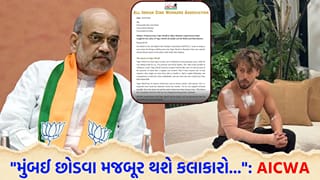 Breaking News: ટાઇગર શ્રોફ પર થયેલા હુમલાથી બોલિવૂડમાં ‘ડરનો માહોલ’, AICWA એ ગૃહમંત્રી અમિત શાહને લખ્યો ‘પત્ર’