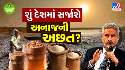 દેશ અને દુનિયામાં સર્જાશે સૌથી મોટુ અનાજ સંકટ, વિદેશમંત્રીના ખૂલાસાથી