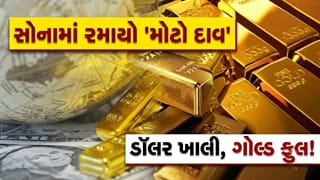 એક જ મહિનામાં ₹29,418 કરોડનું ‘સોનું’ તિજોરીમાં પૂરી દીધું, શું ગ્લોબલ માર્કેટમાં કંઈક મોટું થવાનું છે?