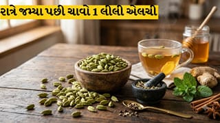 ડિનર પછી રોજ ચાવો આ 1 લીલી વસ્તુ: પાચન સુધરશે અને મોંની દુર્ગંધ થશે દૂર, જાણો એલચી ખાવાના 5 ગજબના ફાયદા