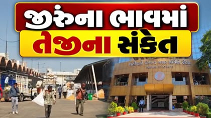 જીરુંના ભાવમાં તેજીના સંકેત, ગુજરાતના ખેડૂતોને આખરે રાહત મળશે