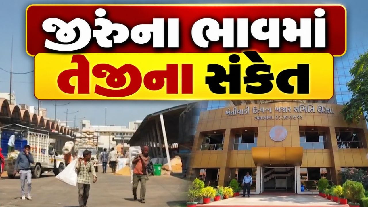 Breaking News : જીરુંના ભાવમાં તેજીના સંકેત, ગુજરાતના ખેડૂતોને આખરે રાહત મળશે, જુઓ Video