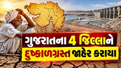 ગુજરાતના 4 જિલ્લા દુષ્કાળગ્રસ્ત જાહેર