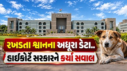 ગુજરાત હાઈકોર્ટ રખડતા શ્વાનના અધૂરા ડેટાથી નારાજ